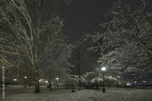 Novokuznetsk, Russia. November 01, 2024. Trees near the colonnade of the Yuri Gagarin City Park, covered with the first autumn snow and illuminated by lanterns of cold light.
