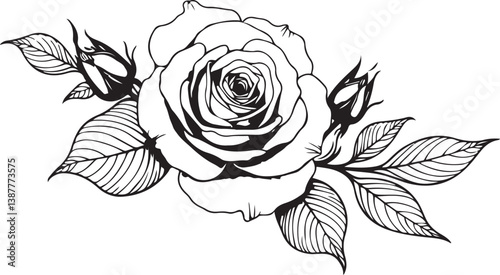Wallpaper Mural Rose Line Art SVG | Elegant Flower Tattoo Design | Floral Clipart Bundle

 Torontodigital.ca