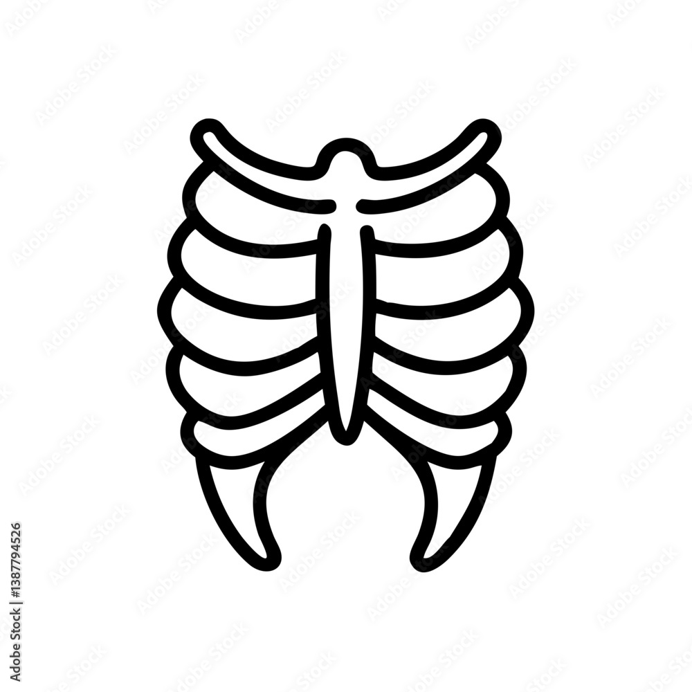 Fototapeta premium ribs