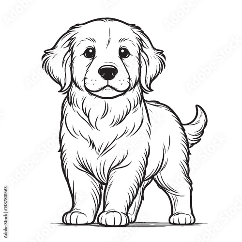 the cute dog Golden Retrievers isolated on white background 
