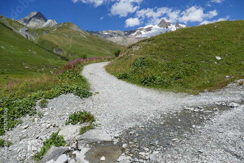 la vallée des glaciers dans le massif du mont blanc en france