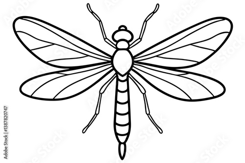 Delicate Mayfly Artwork