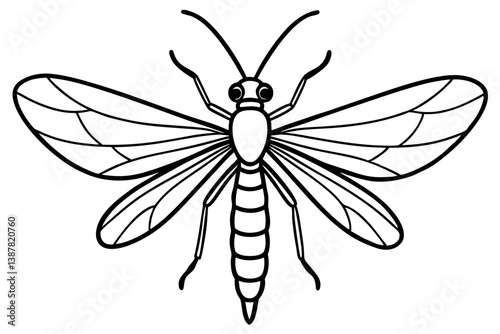Delicate Mayfly Artwork