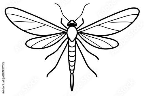 Delicate Mayfly Artwork