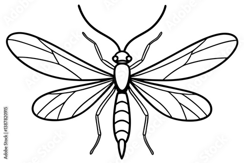 Delicate Mayfly Artwork