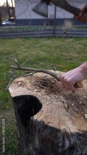 Cutting thin branches with axe. Cutting branches on an oak tree deck
