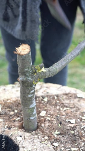 A girl is chopping a branch with an axe on an oak block