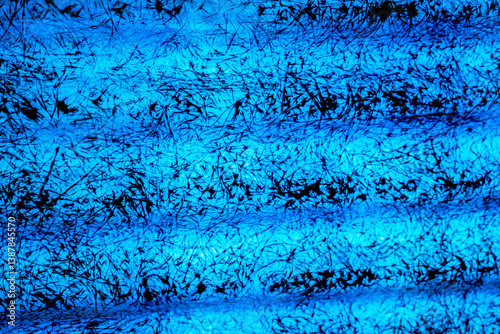 An electrifying abstract close-up image showcasing a vivid blue background with intricate black fiber-like textures. The layered, chaotic strokes and organic patterns resemble static energy, threads