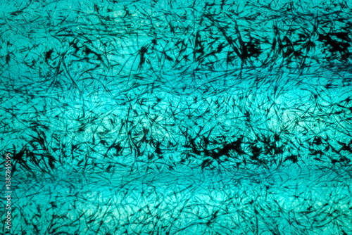 A vibrant abstract close-up of a turquoise surface with intricate black vein-like patterns resembling organic fibers or microscopic structures. The arrangement of lines creates a a dynamic texture