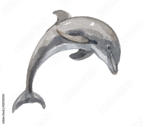 Watercolor dolphin hand painted