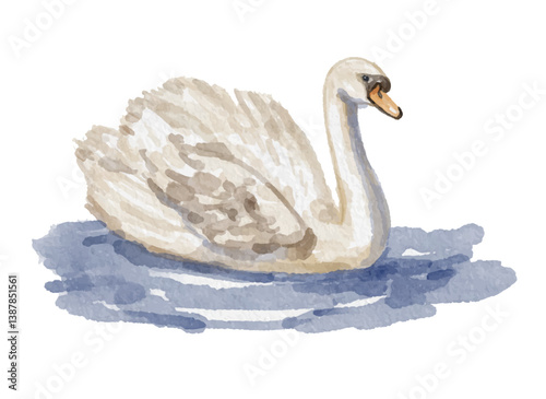 Hand painted watercolor swan on the water
