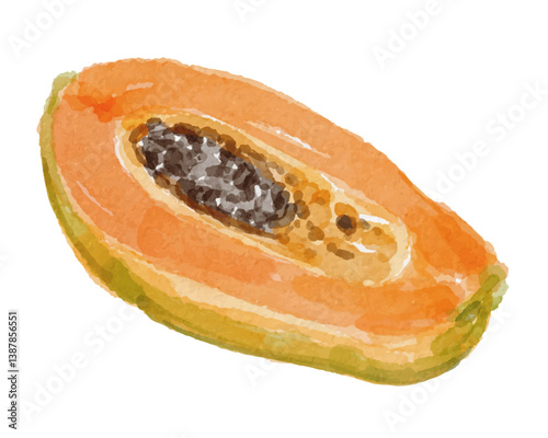 Hand painted watercolor papaya fruit