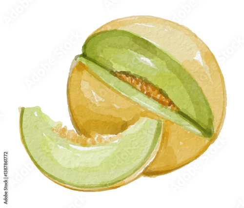 Hand painted watercolor melon isolated