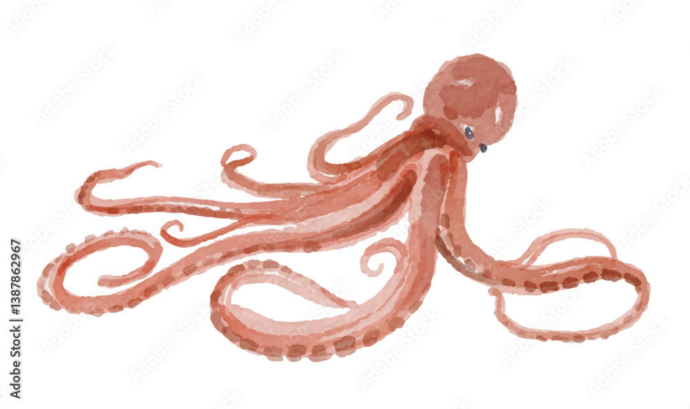 Watercolor octopus on a white background  