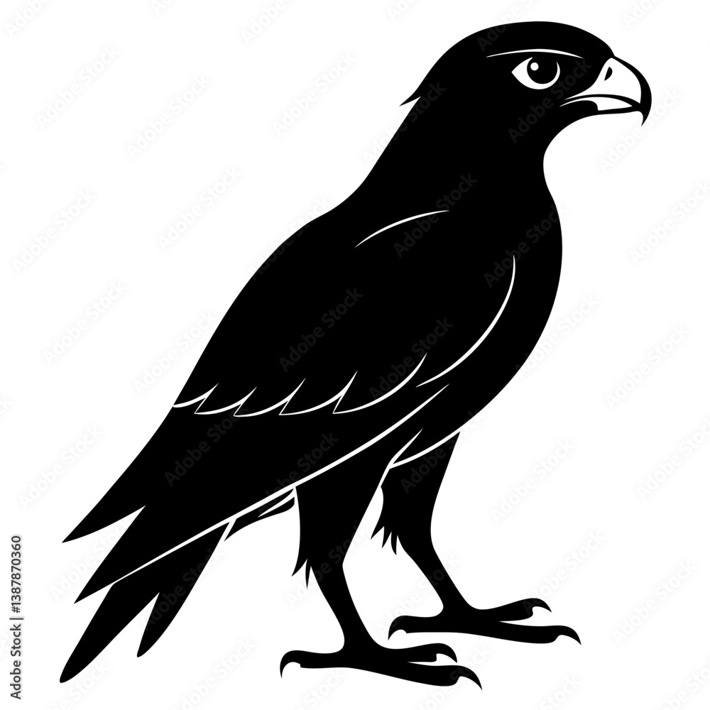 Hawk Bird Silhouette Vector & Predatory Bird Icon Hawk Bird Silhouette Vector & Predatory Bird Icon