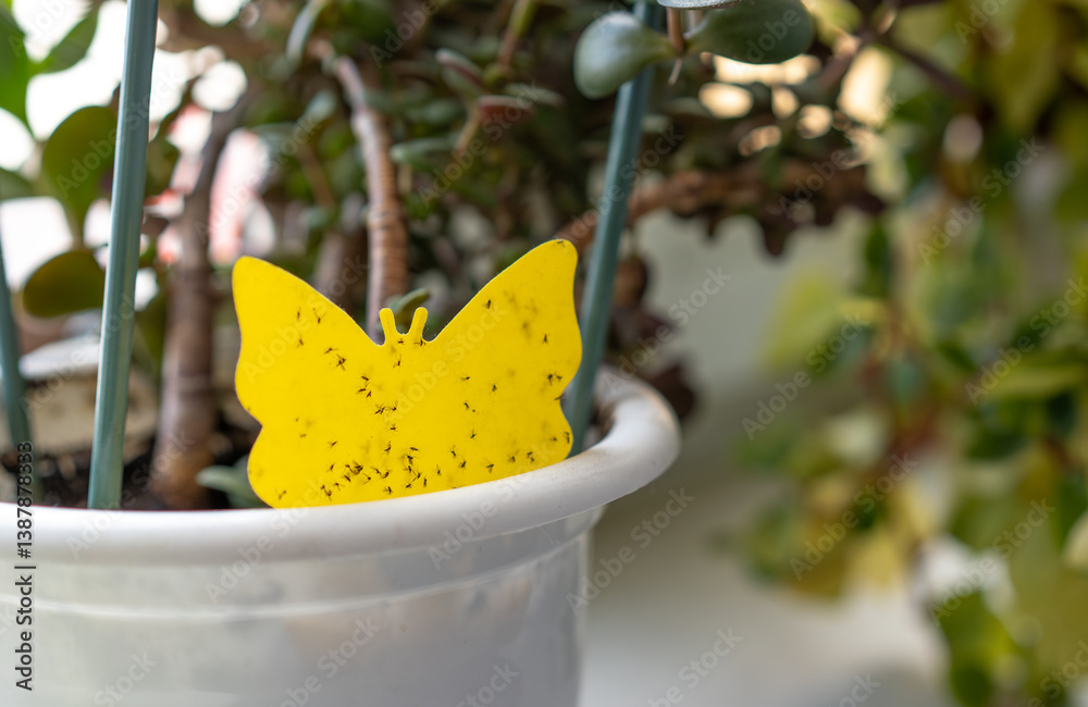 Φωτογραφία Yellow glue insect trap in the shape of a butterfly among green plants in a pot