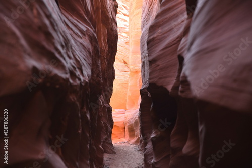 Mountain Sheep Canyon