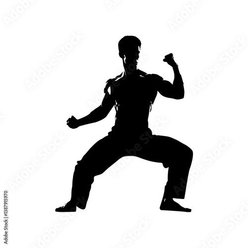 Martial artist in wide horse stance silhouette on white background, fists clenched, strong pose

