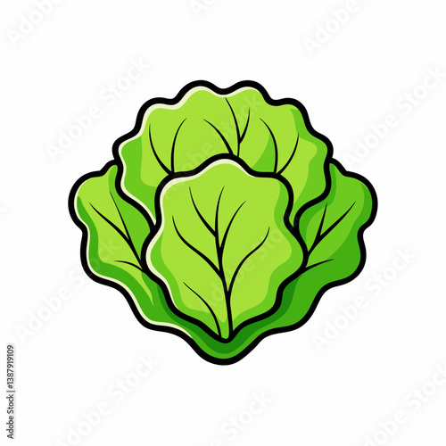 cabbage isolated on white background