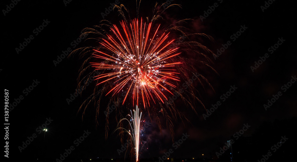 fireworks in the night sky