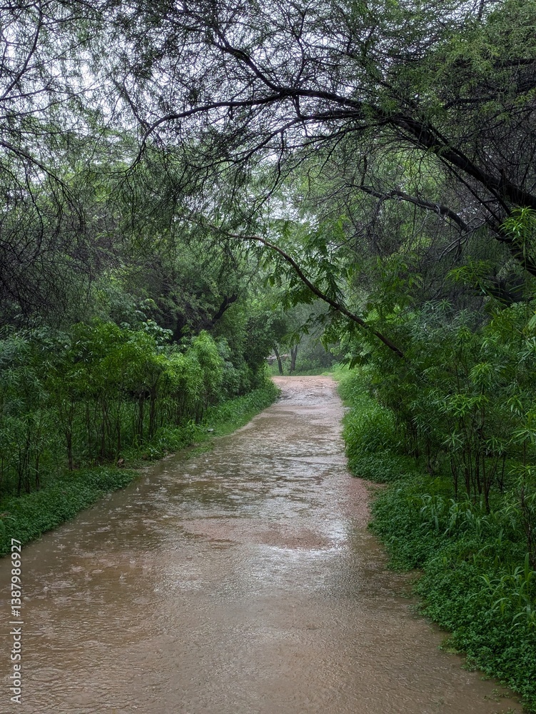 Obraz premium Picture representing the Trek Trial among the Aravalli Mountains offering serene views and rocky paths somewhere in Delhi, India