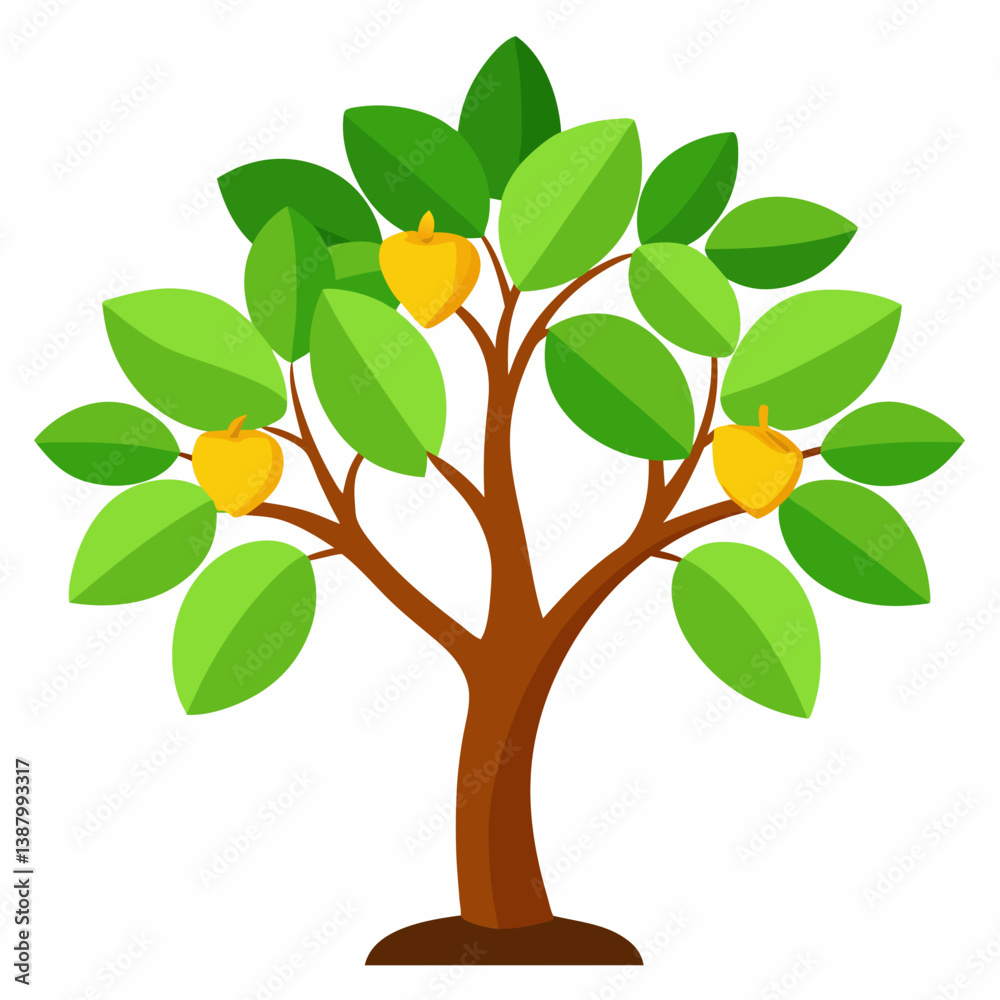 Obraz premium orange tree isolated on white