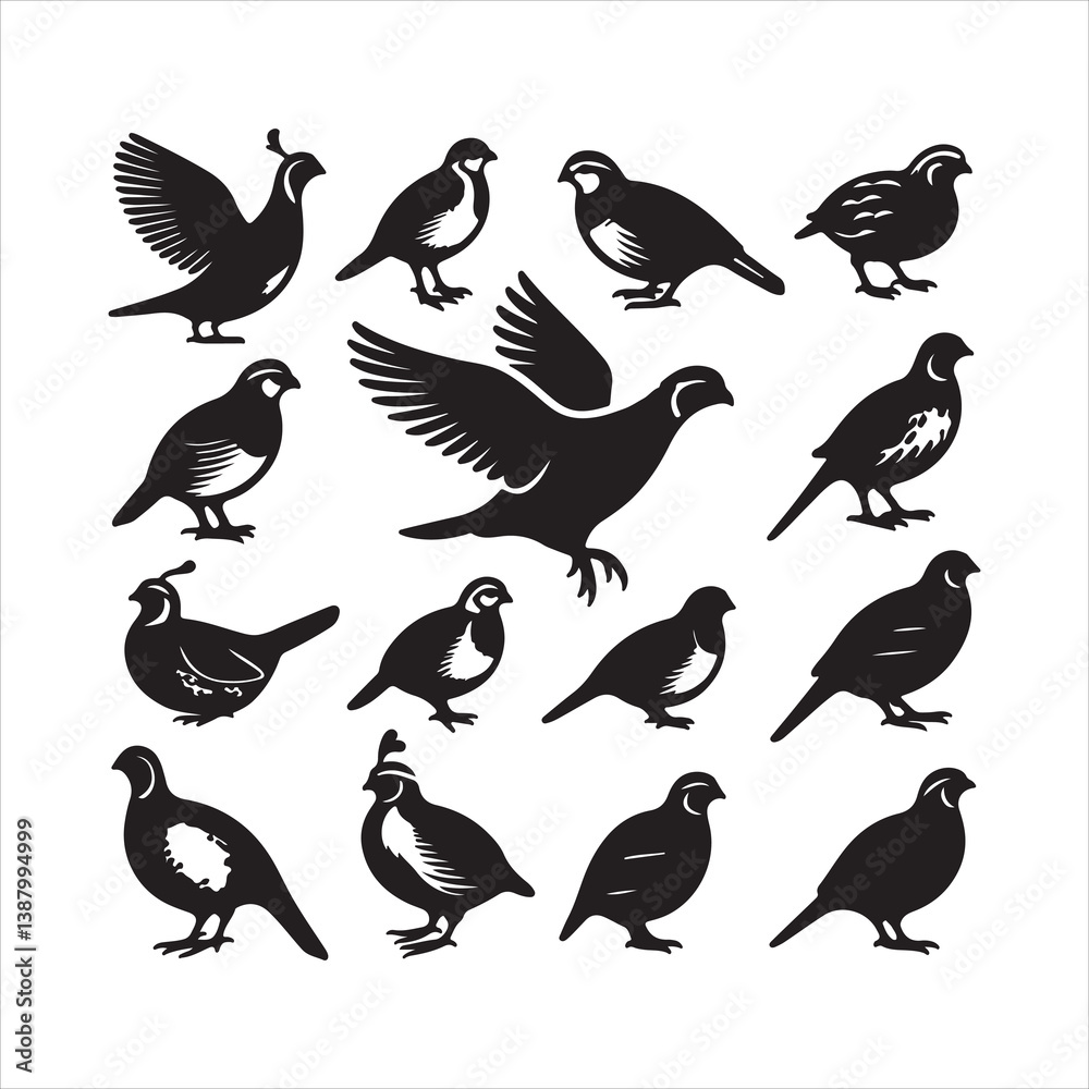 Obraz premium set of vector birds