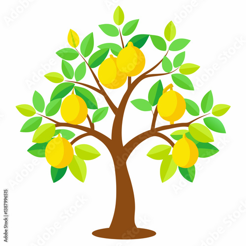 vector illustration of an orange tree