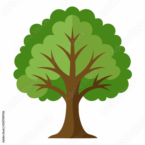 green tree isolated on white background