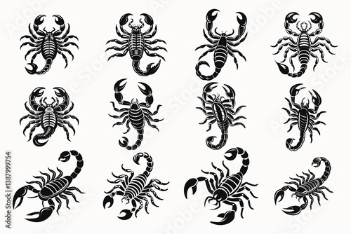 Set of Scorpion in a stance ready to attack with its sting silhouette vector illustration isolated on white background.