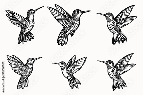 Set of humming bird silhouette vector isolated on white background.