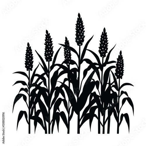 sorghum field silhouette.