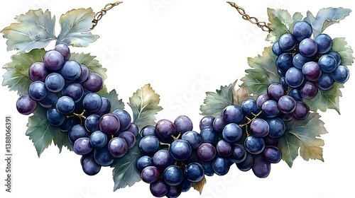 Obraz na płótnie Watercolor garland of ripe purple grape clusters with green leaves, decorative botanical border element on white background, isolated for design. w salonie