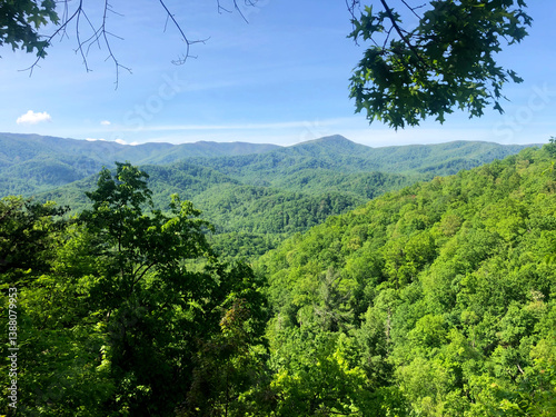 Endless Horizons: Soaking in the Great Smoky Mountains on a Summer Day