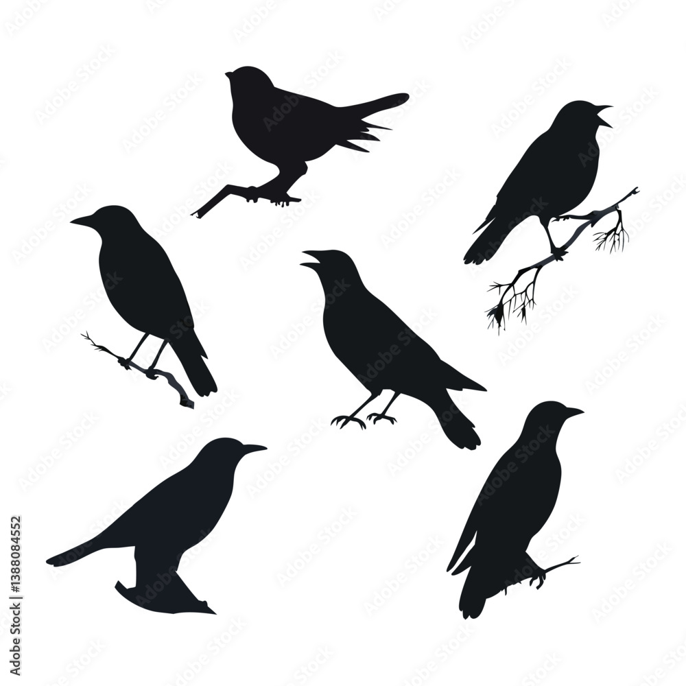 Obraz premium Cute vector set of bird silhouettes, including sparrow and crow, on a wild spring branch