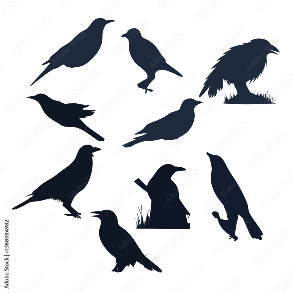 Fototapeta premium Set of bird silhouettes in flight, vector illustration of various birds like crow, sparrow, dove, and seagull, depicting wildlife and nature