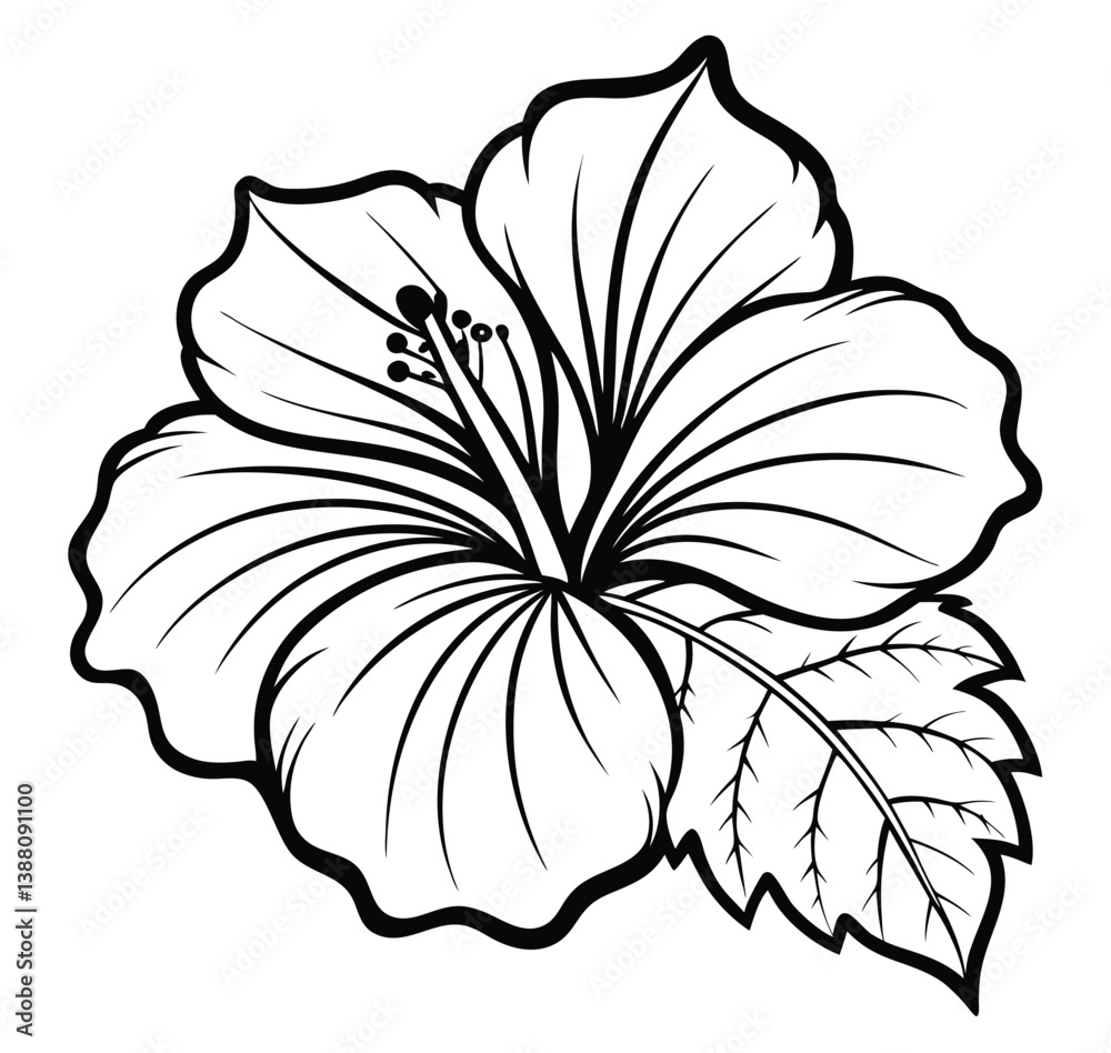 Fototapeta premium Adobe Illustrator Artwork