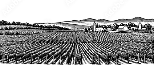 Woodcut Vineyard Village, Vintage Engraved,ink hand drawn style illustration, vector.