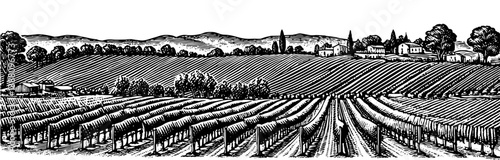 A black and white woodcut style illustration of rolling hills with vineyards and farmhouses. The image is reminiscent of a Tuscan landscape black and white vintage wine label