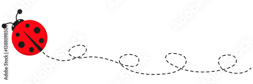 Ladybird with dotted route. Ladybug with spotted line path. Vector illustration isolated on white.