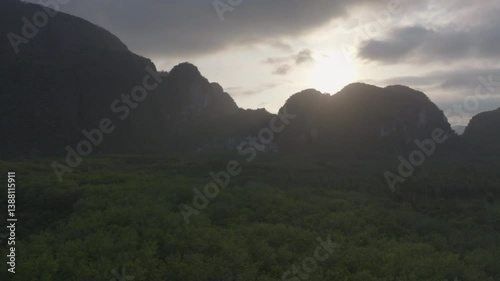Beautiful drone shot of limestone cliffs and mangrove forest on the coast of Krabi, Thailand.
