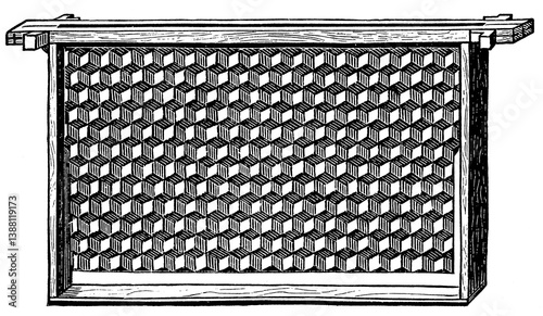 Frame with artificial honeycomb foundation. Publication of the 