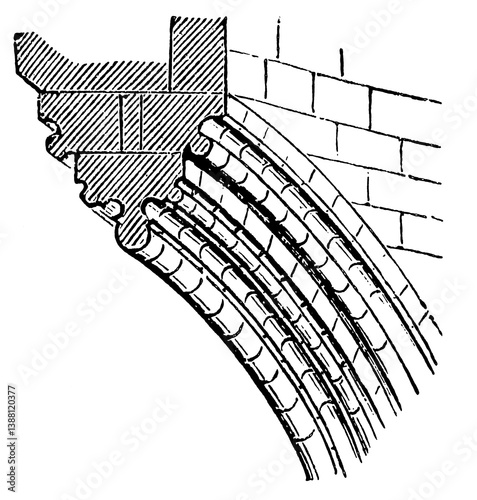 Gothic vault rib. Publication of the 
