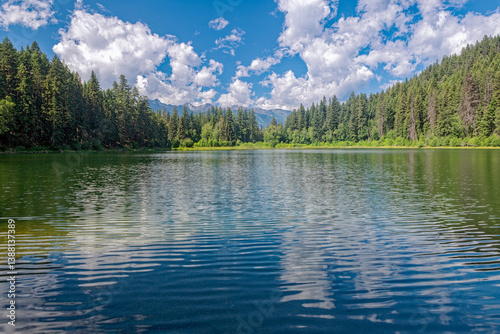 Fototapeta Naklejka Na Ścianę i Meble -  Little Lost Lake in the middle of the forest near Valemount, British Columbia, Canada