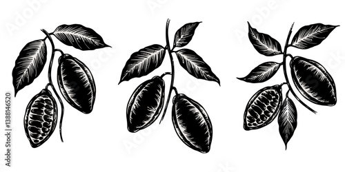Silhouette of a Cocoa Bean Pod with Leaves, Chocolate. Hand drawn sketch vector Cocoa beans, leaves, raw chocolate chunks, wedges of dessert chocolate, Chocolate text. Organic product Doodle sketch.