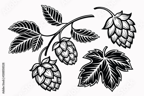 Vintage Woodcut Beer Hops Illustration – Hand-Drawn Engraving Style Vector Art