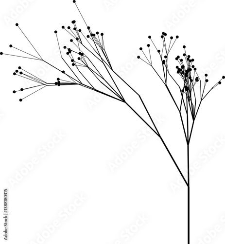 Vector design featuring tree tops with extensively branching limbs and fruit.