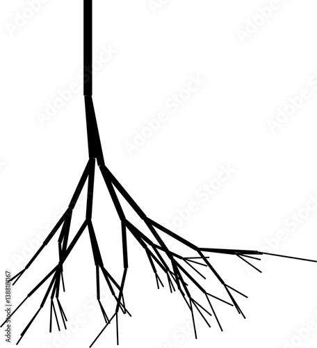 Graphic illustration of tree roots with sharp, spiky ends extending in various directions.