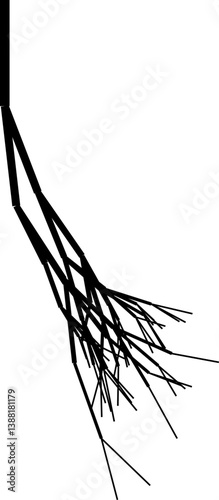 Black and white vector outline of a tree root structure with smooth curves.