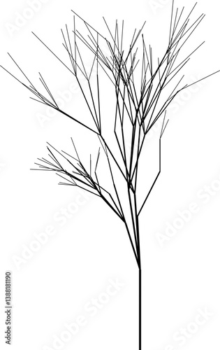 Black and white vector drawing of a structured tree crown with detailed dry branches.